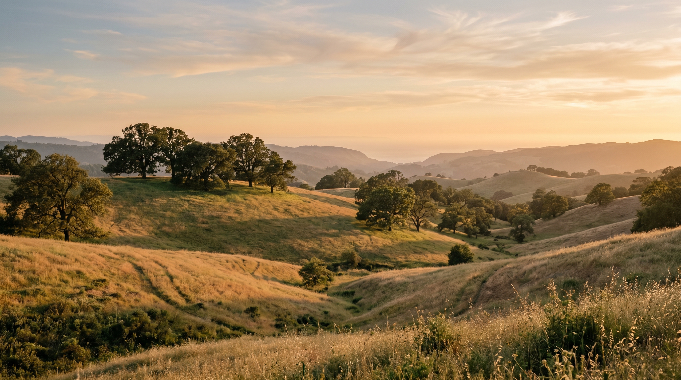 Golden Sonoma County hills at sunset